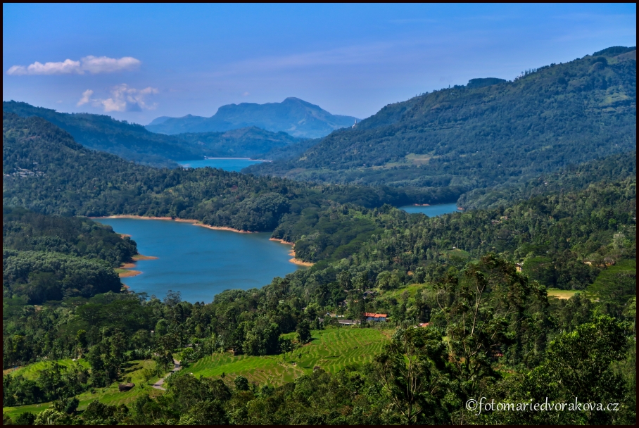 Čajové plantáže v okolí Nuwara Eliye