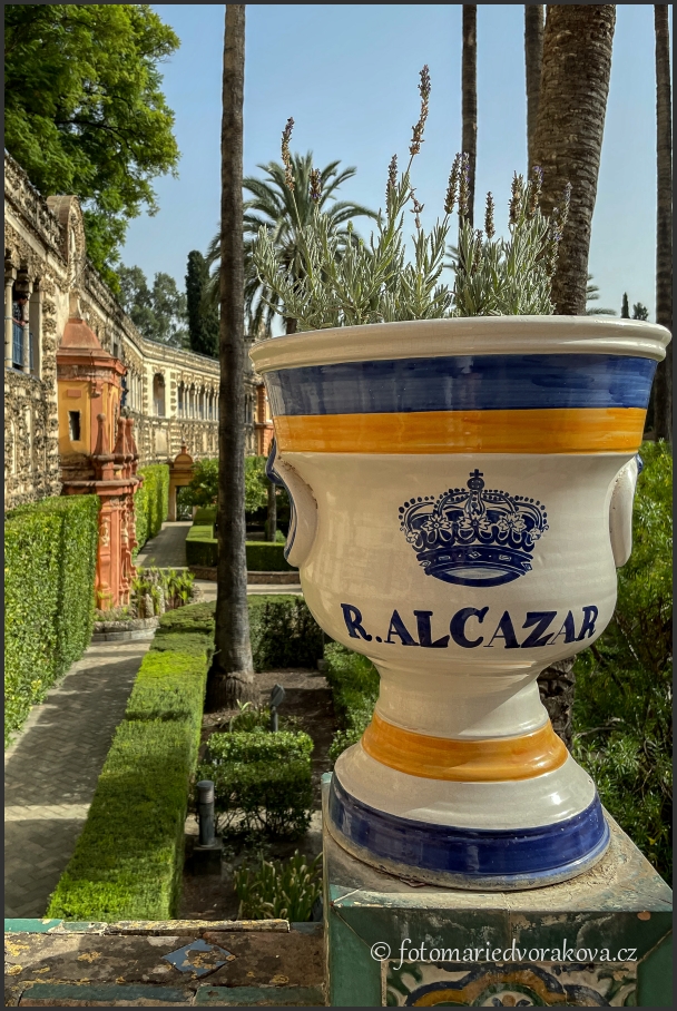 Galeria de Grutesco a zahrady Alcázaru (královský palác) v SEVILLE