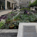 ROCKEFELLER CENTER